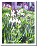 dollhouse miniature original painting watercolor garden irises flowers artistjillian